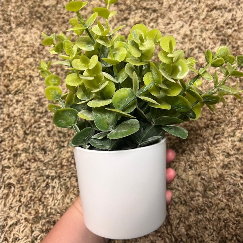 Faux Plant Bundle